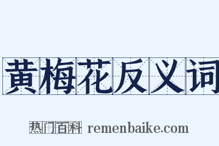 黄梅花反义词是什么意思的图片